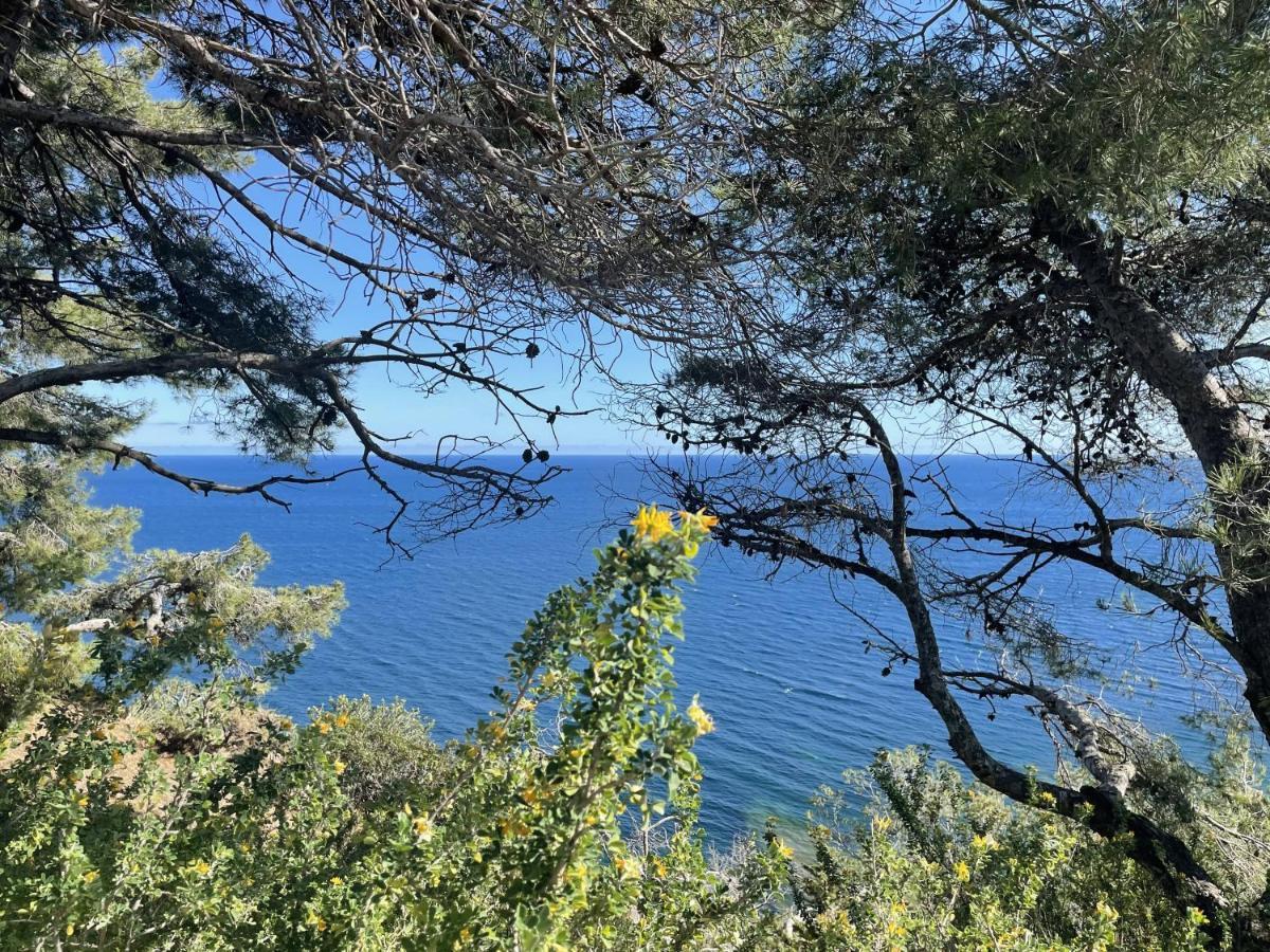 Appartement Mignon Calme Douillet Ascenseur Clim Etage Eleve Proche Parking Et Toutes Commodites Au Coeur Du Toulon Historique Eksteriør bilde