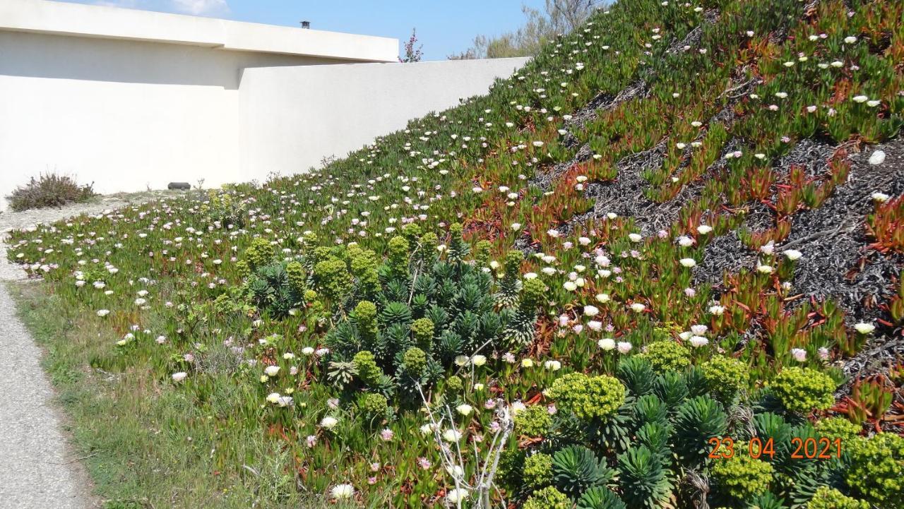 Appartement Mignon Calme Douillet Ascenseur Clim Etage Eleve Proche Parking Et Toutes Commodites Au Coeur Du Toulon Historique Eksteriør bilde